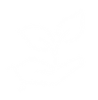 iconos-02.png