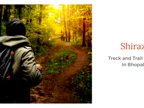 Trek And Trail Walks In Bhopal