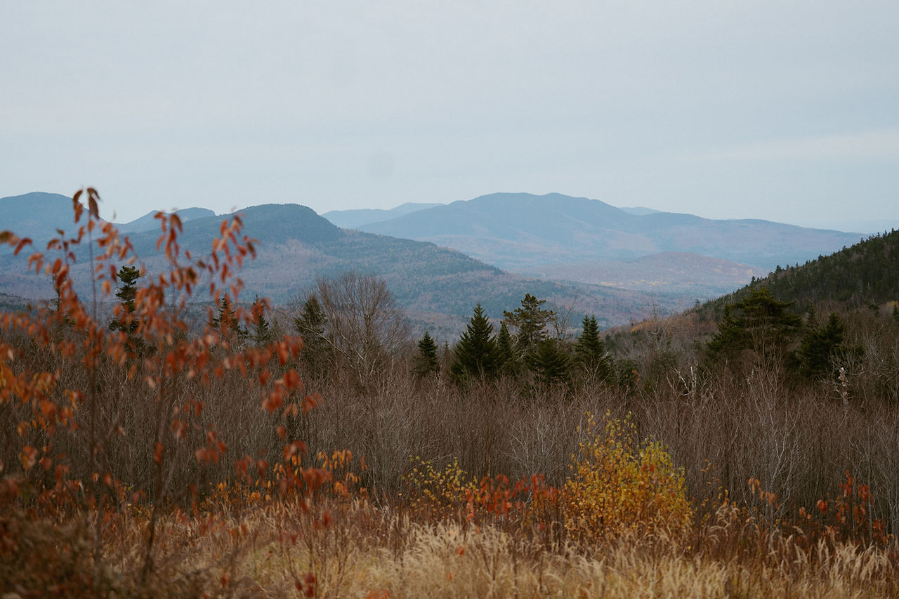 kancamagus highway elopement bride and groom exploring the kanc