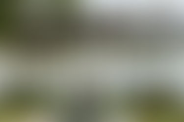 The Adair Country Inn – Dreamy B&B in Bethlehem NH for Your Elopement or Small Wedding