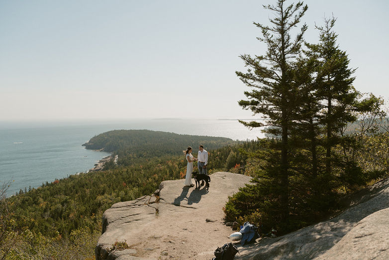 Couple on hike on wedding day in Acadia with their dog