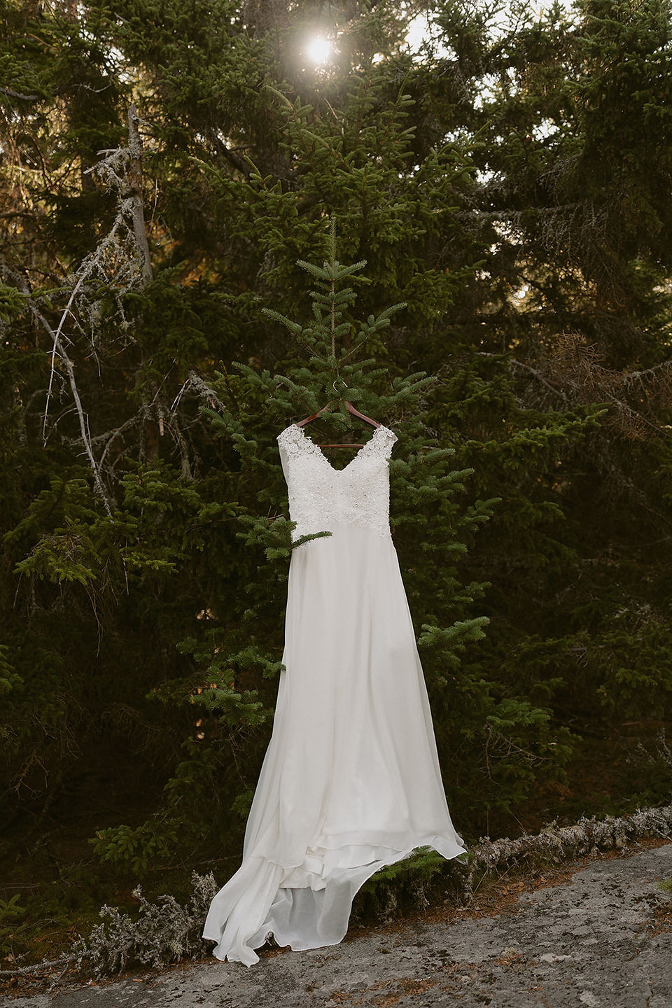 wedding dress hanging from tree on elopement day in pinkham notch