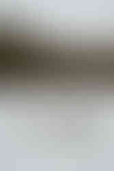 White Mountain Winter Engagement Session Couple making snow angels in field with mountains behind them.