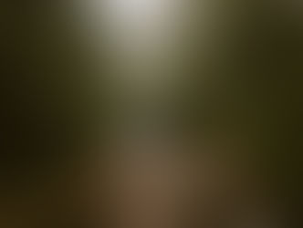Couple in foggy woods looking at each other for mount Osceola elopement day