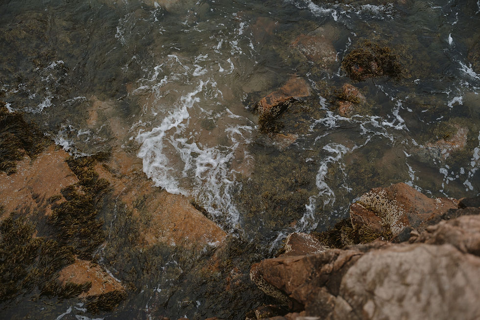 view couples had from elopement on rocky coastline in southwest harbor maine