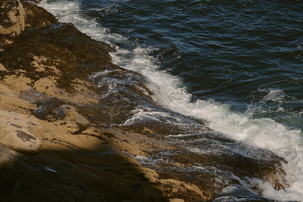 Waves crashing on rocks on Acadia spring elopement day.