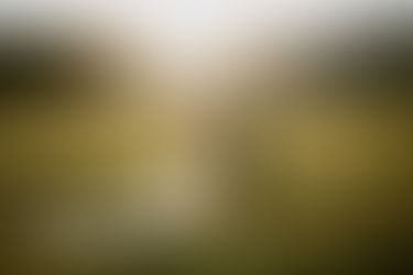 North Conway Elopement – Plan An Adventurous Wedding in the White Mountains