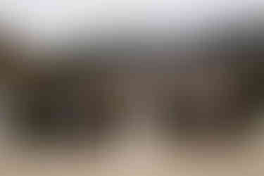 kancamagus highway elopement ceremony