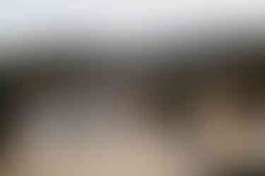 kancamagus highway elopement ceremony