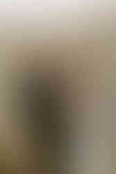 Pinkham notch sunrise elopement couple enjoying view of mountains from summit on elopement day