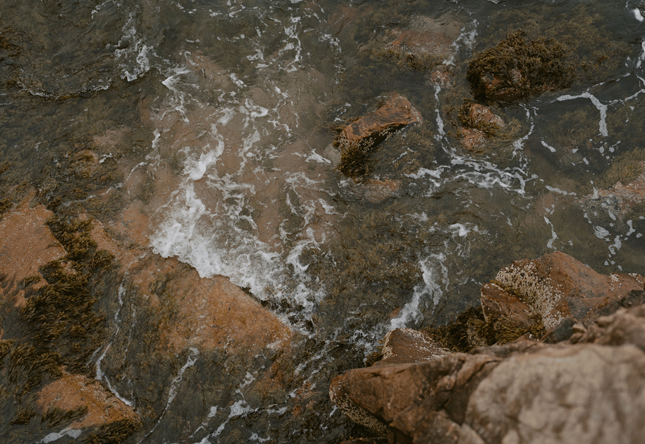 gif of waves hitting the rocks in acadia national park