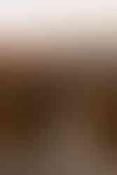 Couple exploring and enjoying sunset from a mountain top for Crawford Notch elopement day in the White Mountains for an adventure elopement. The mountains behind them are in peak foliage in nh and the sun is golden as it sets.