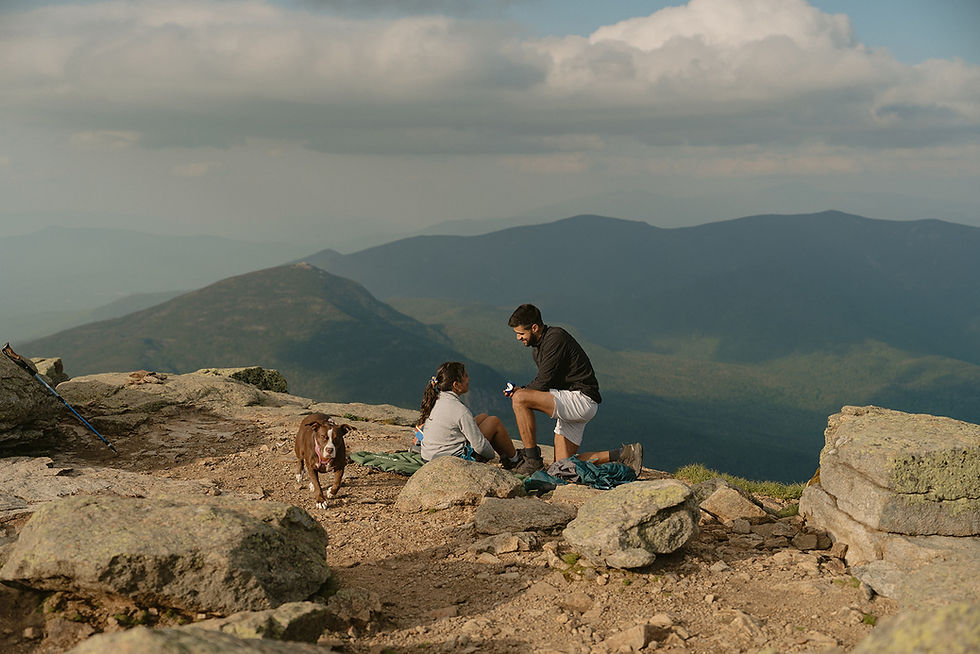 franconia ridge proposal couple on mountain top in nh in white mountains on mount lafayette proposing with dog
