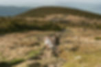 married couple after first dance on top of mount mousilauke in new hampshire