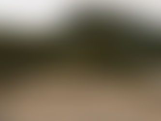 A couple on their elopement day in Acadia for spring elopement dancing on Sand Beach