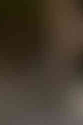 dog with tux and bow tie on elopement day on mountain in pinkham notch for elopement day