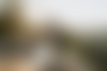 What Is The Meaning of Elopement in 2025 – Elopement Definition