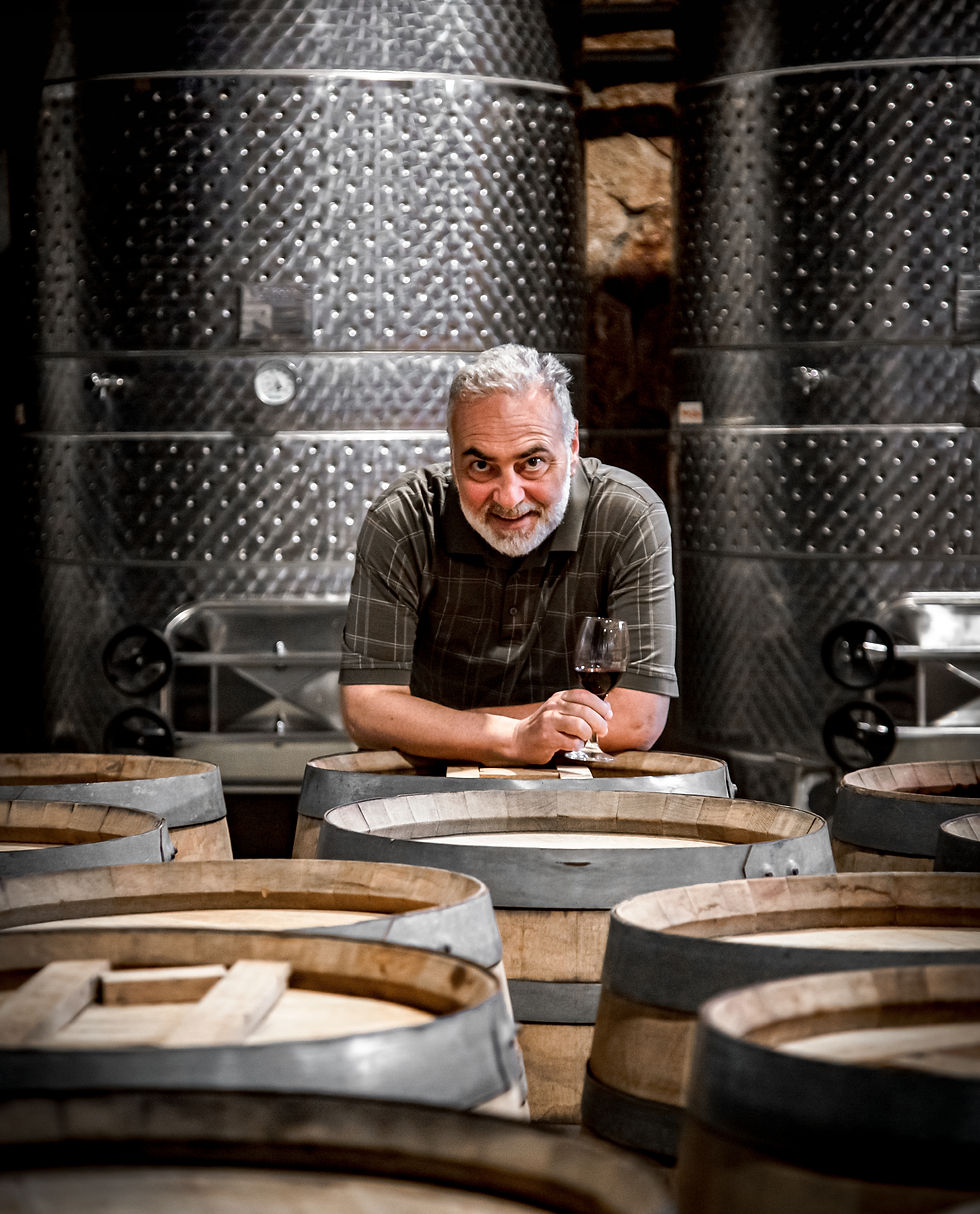 Компания Van Ardi была основана в 2008 году, когда мы посадили нашу первую лозу в предгорьях Арагацотна.