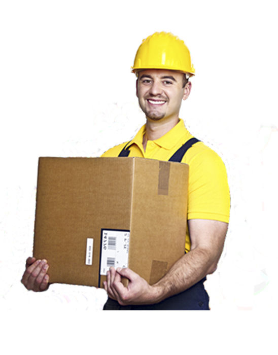 Բեռնակիրներ