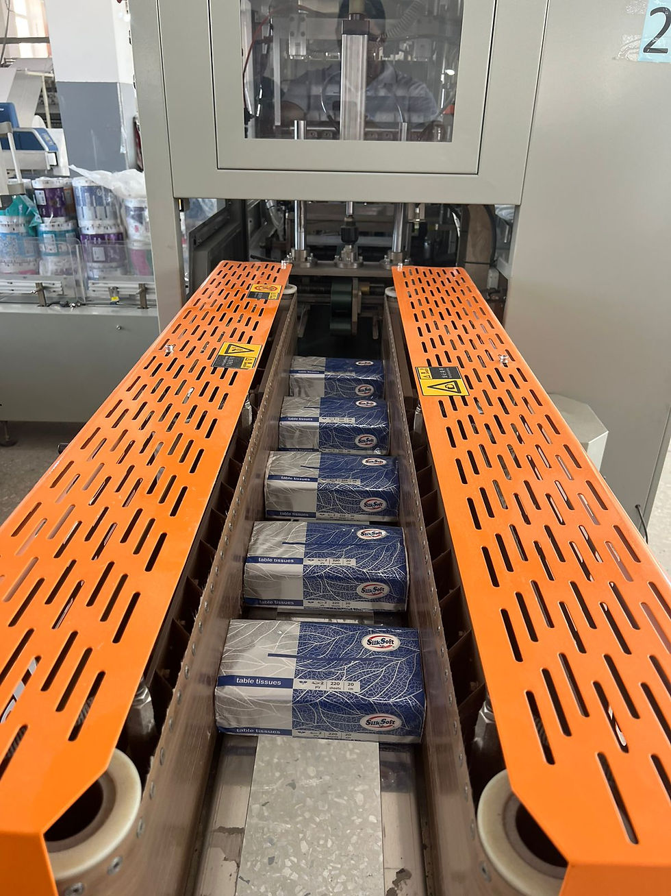 Господин Саргсян, расскажите, пожалуйста, как и при каких обстоятельствах было запущено производство «Софт Трейд».