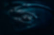 Dark, rippling water with a central droplet impact, symbolizing the rapid spread of gas gangrene and the crucial role of hyperbaric oxygen therapy (HBOT) in halting its progression. This image represents the urgency of treating gas gangrene, where HBOT's oxygen-rich environment acts like a life-saving ripple, combating anaerobic bacteria and supporting tissue healing in this severe infection.