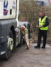 Simon and dog.jpeg