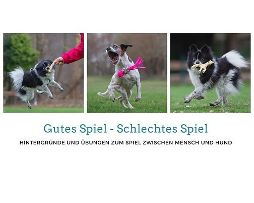 webinar spiel 4.jpg
