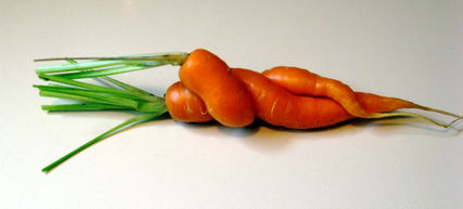 What Is the Difference Between a Fruit and a Vegetable?