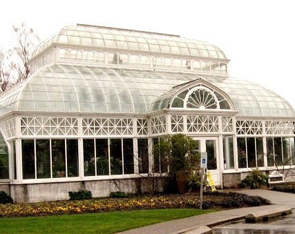 7 Things for Seattle Gardeners To Do in Winter