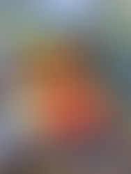 Some of the harvest from the Beyers' Bulldog Garden, West Seattle's newest P-Patch Community Garden.