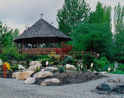 The Gazebo in the early 1990s with early plantings in Milton Sutton Conifer Garden