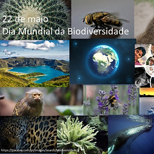 WhatsApp Image 2021-05-22 at 12.22.40.jp