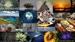 Dia Mundial da Biodiversidade