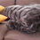 Miniaturbild: Decke / Plaid "SCHOKO"