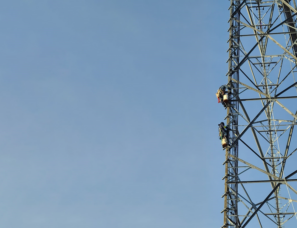 pic website cover.png