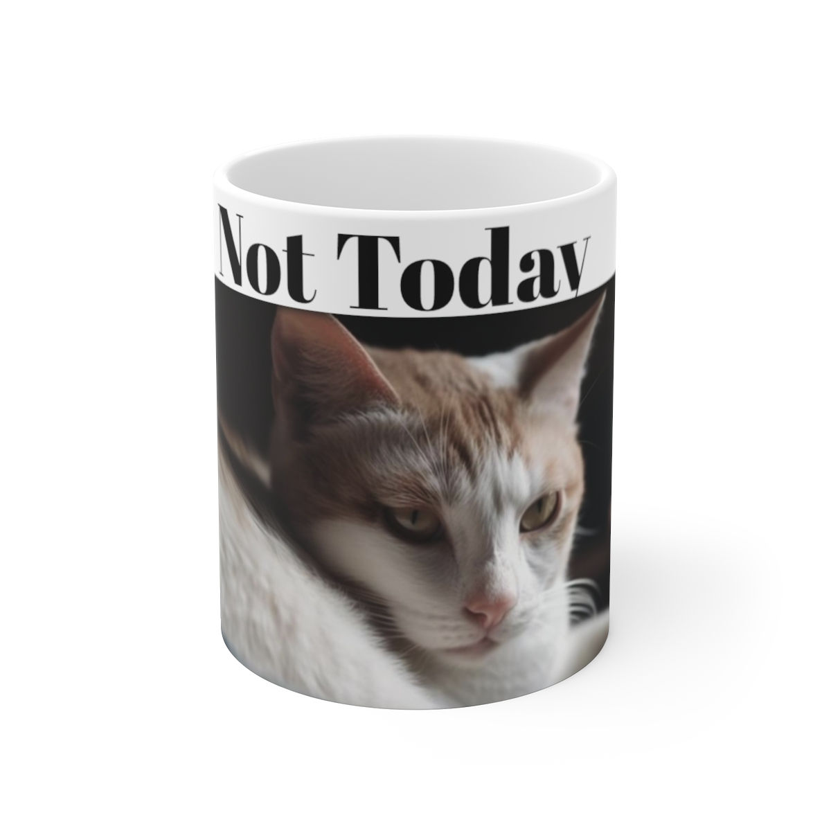 Mug 11oz-Not Today' 