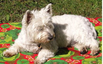 den richtigen Zeitpunkt zu finden