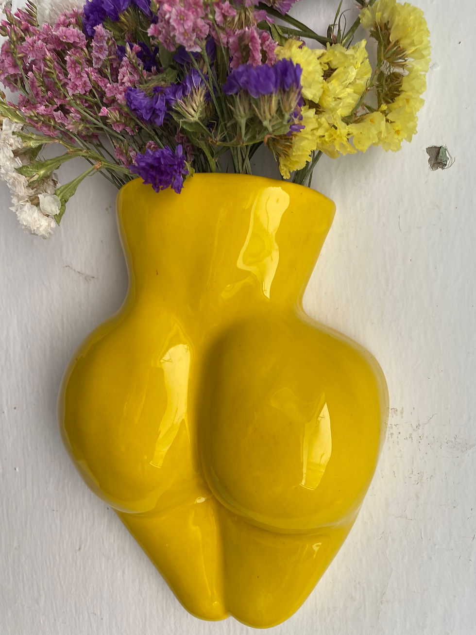 Miniatura:  Vaso Sgabrina parete giallo sole