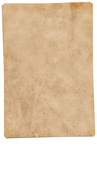 Фон (1).png