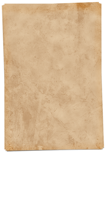Фон (1).png