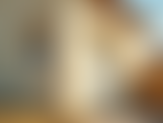 Transform Your Home with a Fresh Coat of Paint