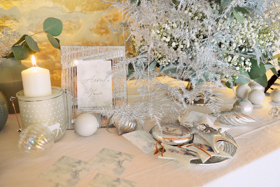 Mariage_Noël_Domaine_de_Verchant-284.JPG