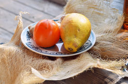 Mariage Domaine Sainte Colombe-227