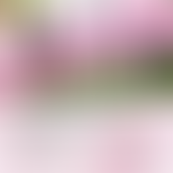 Transform in 5 Days! Strengthen Your Mind and Body at the JSS Spring Break Total Focus Camp 2025