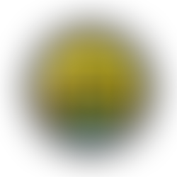 フィジカルテスト2025.12月結果発表