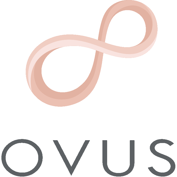 Home House Cleaning Services On Demand Excellent Maids