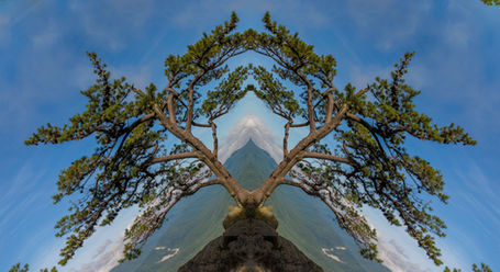 Deborah Pugh - Ravens Roost on the Mountain.jpg