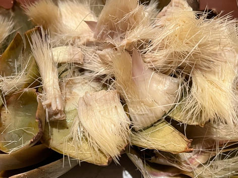 Peggy Fleming - Artichoke Heart.jpeg