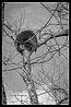 Judy Robichaux_Tree Hugger.jpg