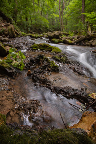 Chuck Almarez - Roaring Run Focus.jpeg